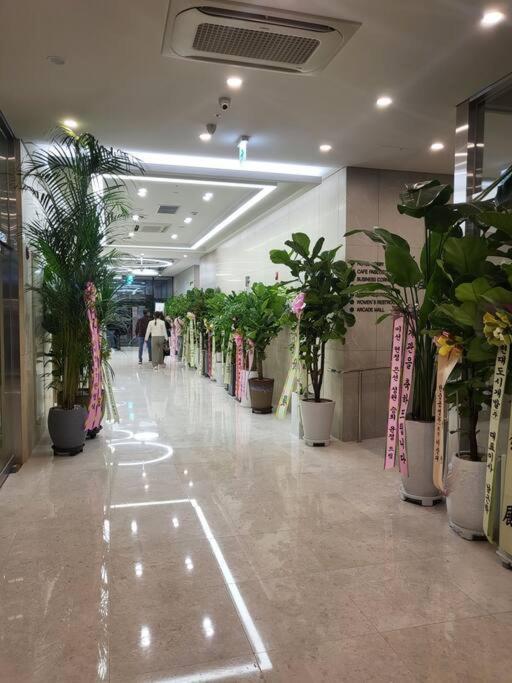 Stayc Hotel Myeongdong Seoul Ngoại thất bức ảnh